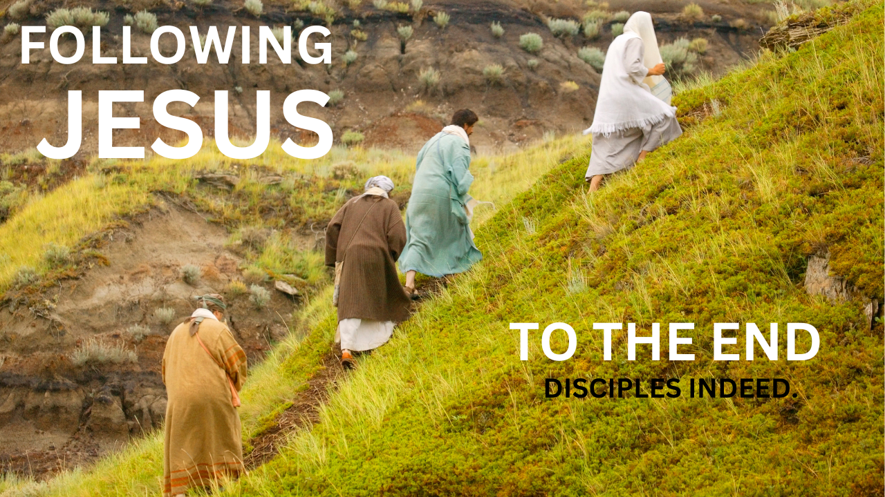 Week 11 Topic: Disciples and Disciples indeed.